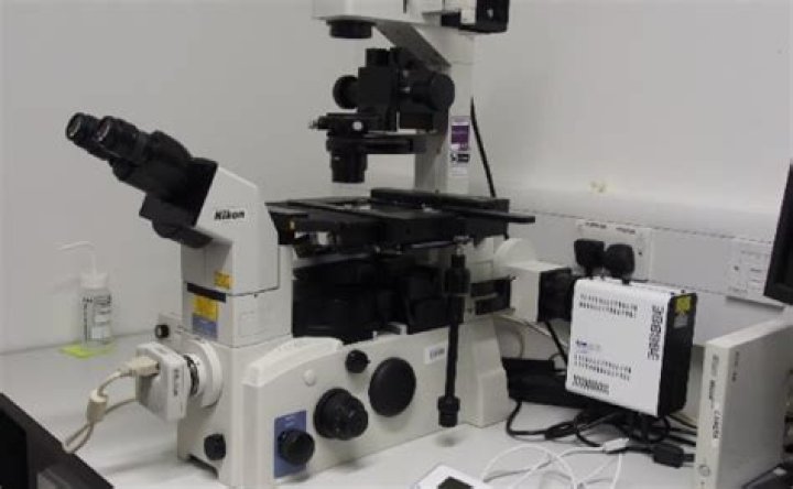 Nikon NiE - Bioimaging - Newcastle University