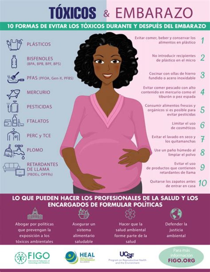 Razones para evitar la exposición a agentes tóxicos durante el embarazo