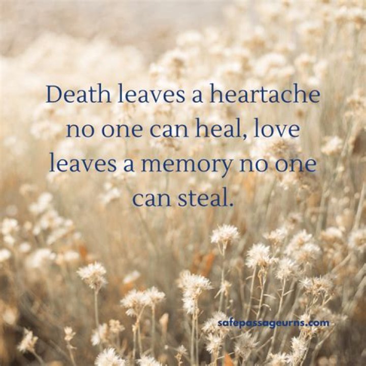 Steven Stowe Obituary, A Precious Soul Gone Too Soon – Death